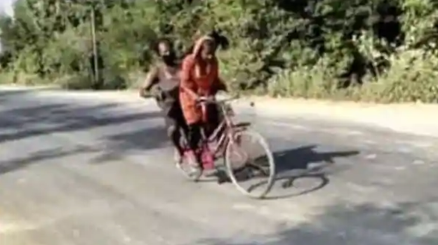 Индийская девушка везла отца-инвалида на велосипеде 1200 км