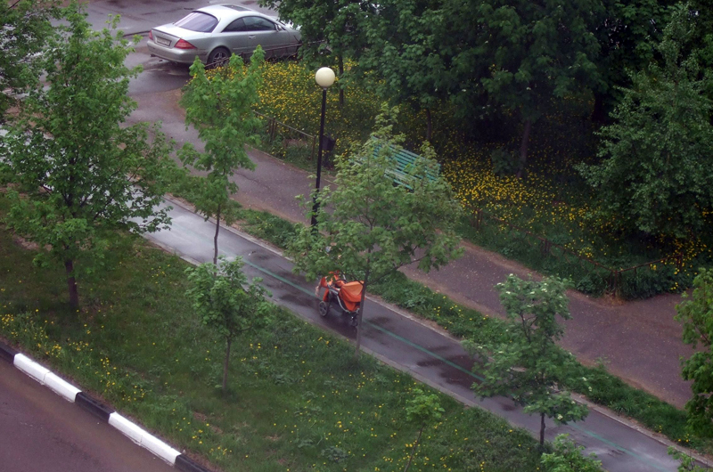 пешеходы на велодорожке Краснознаменск