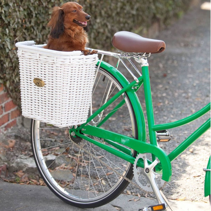 Велосипедная корзина для собаки для велосипеда