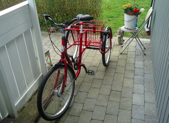 Шведские НКО дают семьям велосипеды взамен на отказ от автомобиля