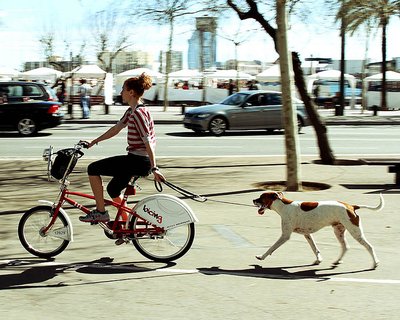 Вы, велосипед и собака: 6 секретов приятной и полезной прогулки