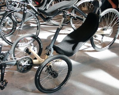 Ruder Trike позволяет крутить педали и грести одновременно